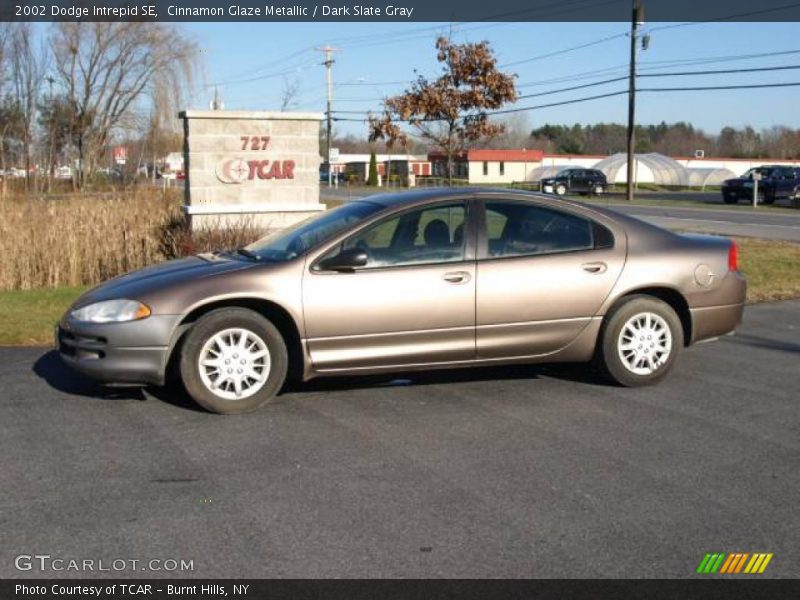 Cinnamon Glaze Metallic / Dark Slate Gray 2002 Dodge Intrepid SE