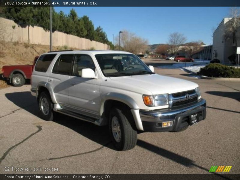 Natural White / Oak 2002 Toyota 4Runner SR5 4x4