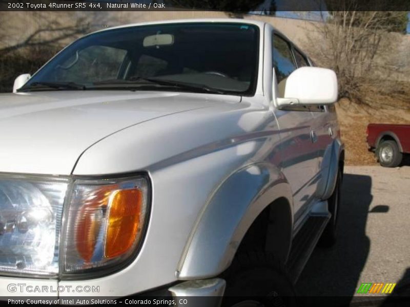 Natural White / Oak 2002 Toyota 4Runner SR5 4x4