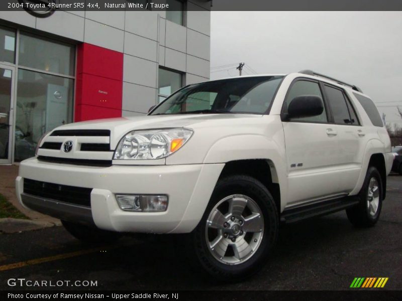 Natural White / Taupe 2004 Toyota 4Runner SR5 4x4