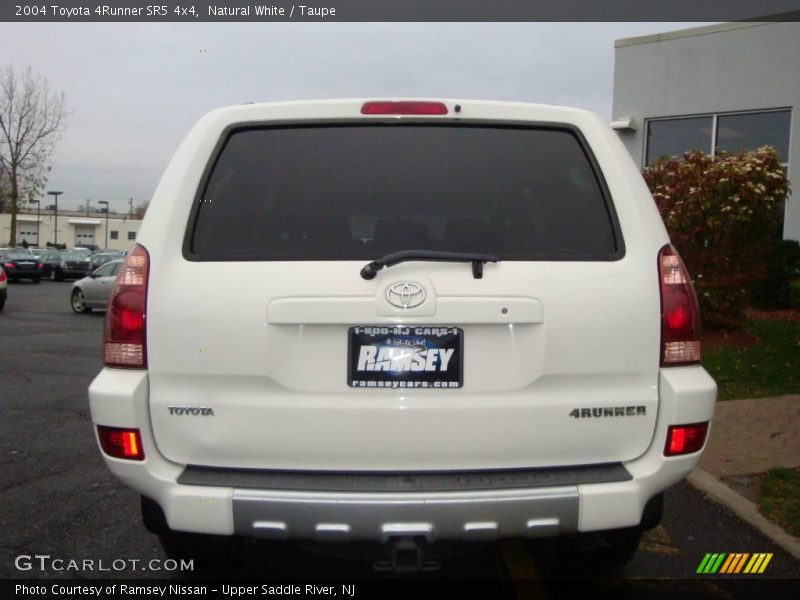 Natural White / Taupe 2004 Toyota 4Runner SR5 4x4