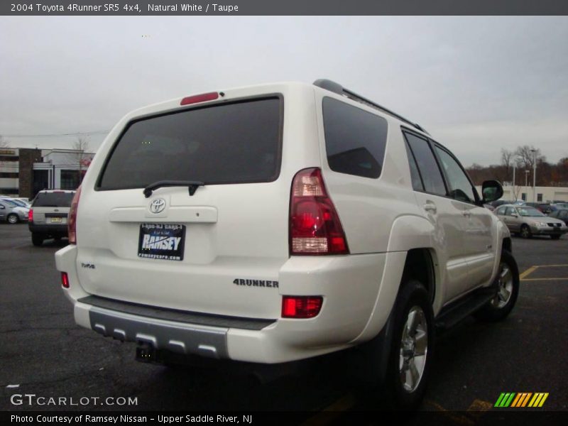 Natural White / Taupe 2004 Toyota 4Runner SR5 4x4