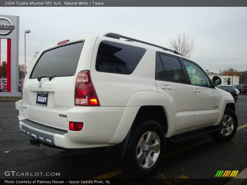 Natural White / Taupe 2004 Toyota 4Runner SR5 4x4