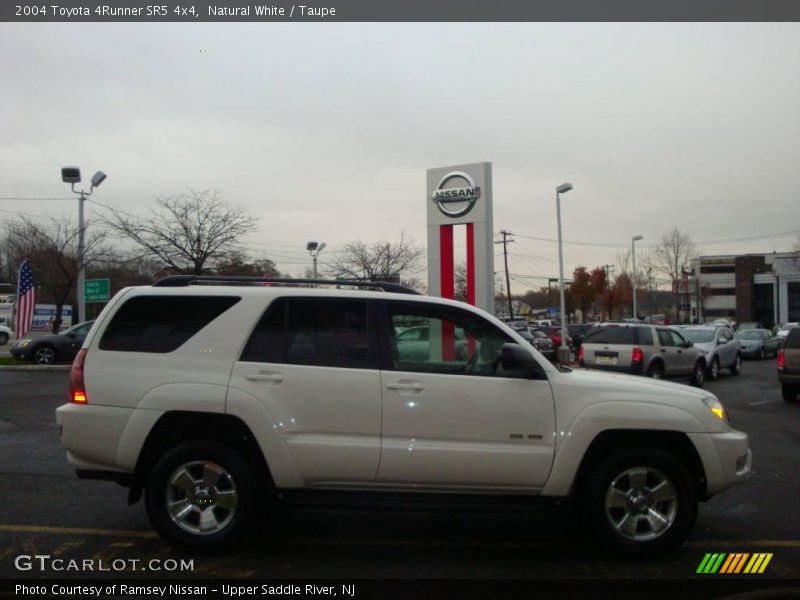 Natural White / Taupe 2004 Toyota 4Runner SR5 4x4
