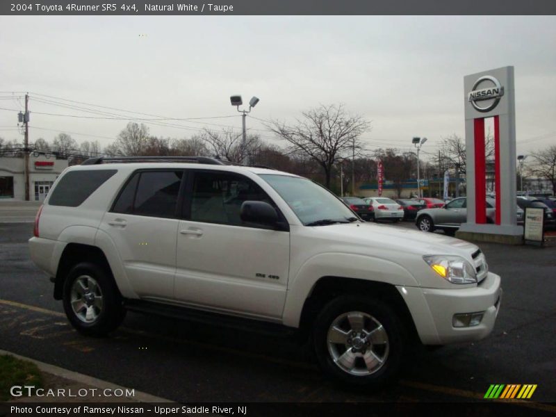 Natural White / Taupe 2004 Toyota 4Runner SR5 4x4