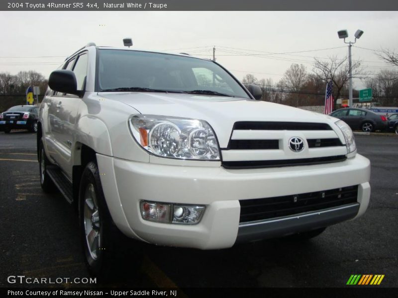 Natural White / Taupe 2004 Toyota 4Runner SR5 4x4