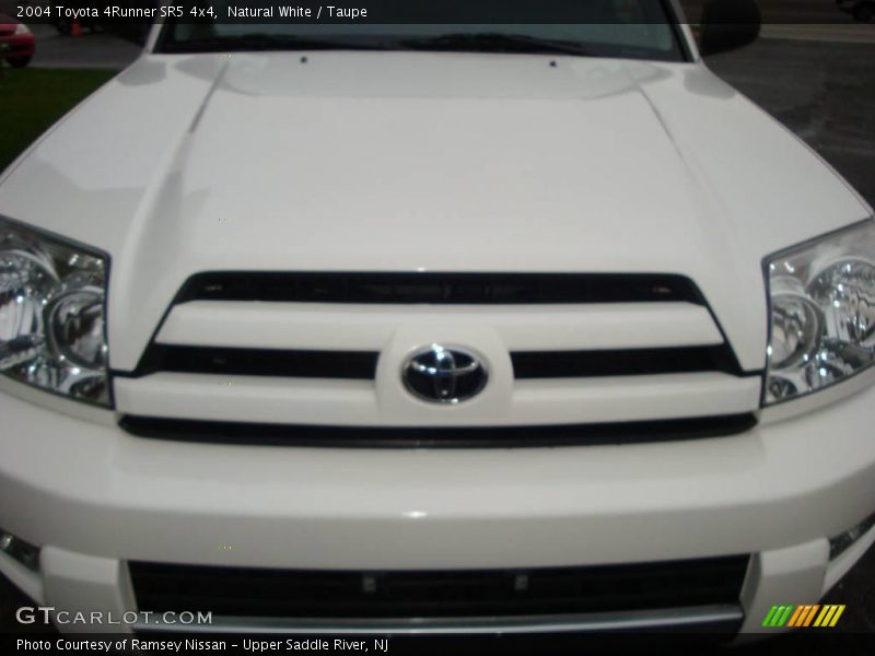 Natural White / Taupe 2004 Toyota 4Runner SR5 4x4
