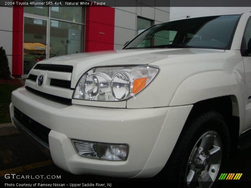 Natural White / Taupe 2004 Toyota 4Runner SR5 4x4