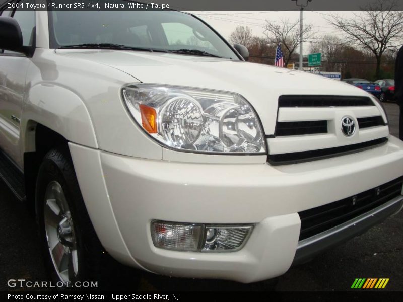 Natural White / Taupe 2004 Toyota 4Runner SR5 4x4