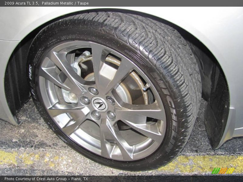 Palladium Metallic / Taupe 2009 Acura TL 3.5
