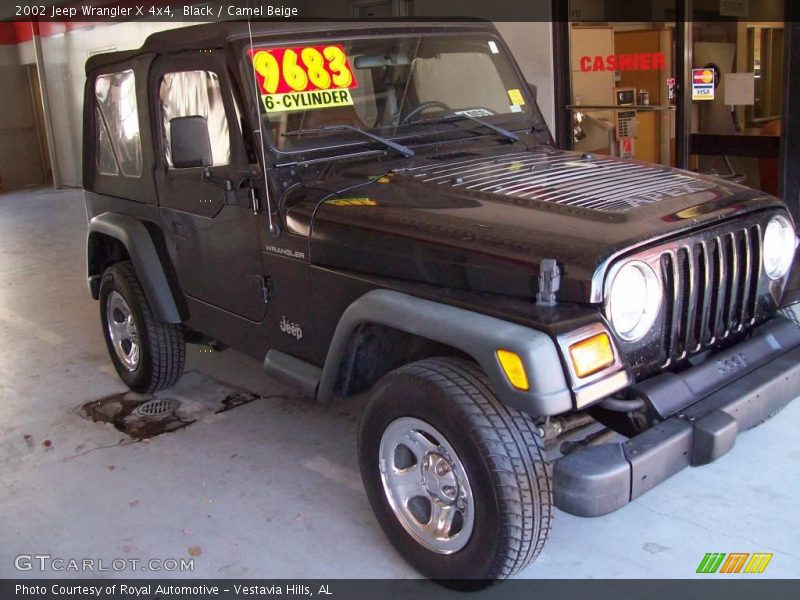 Black / Camel Beige 2002 Jeep Wrangler X 4x4