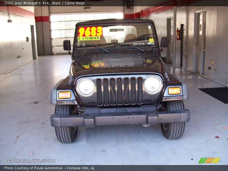 Black / Camel Beige 2002 Jeep Wrangler X 4x4