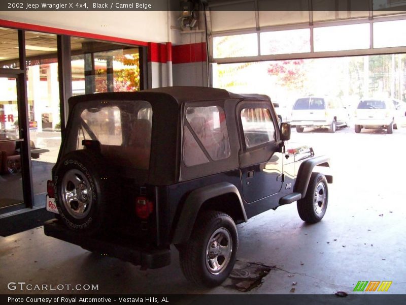 Black / Camel Beige 2002 Jeep Wrangler X 4x4