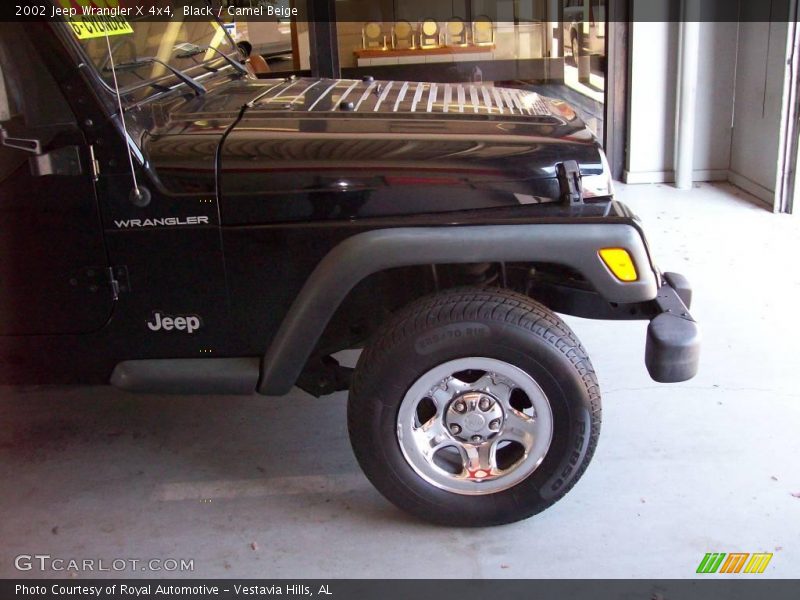 Black / Camel Beige 2002 Jeep Wrangler X 4x4