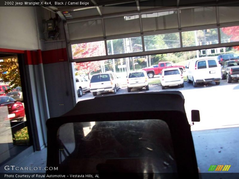 Black / Camel Beige 2002 Jeep Wrangler X 4x4