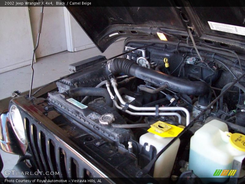 Black / Camel Beige 2002 Jeep Wrangler X 4x4