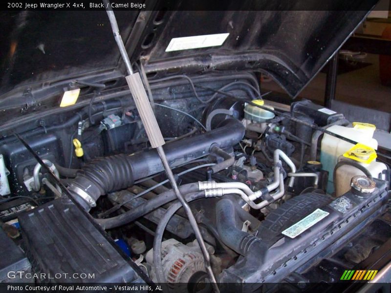 Black / Camel Beige 2002 Jeep Wrangler X 4x4