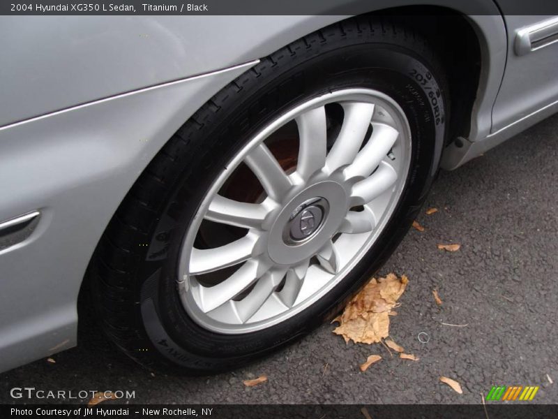Titanium / Black 2004 Hyundai XG350 L Sedan
