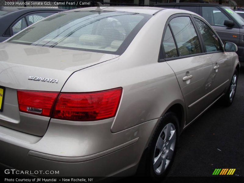 Camel Pearl / Camel 2009 Hyundai Sonata GLS