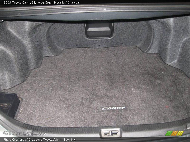 Aloe Green Metallic / Charcoal 2009 Toyota Camry SE