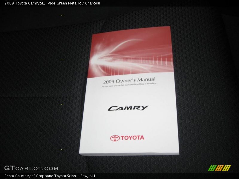 Aloe Green Metallic / Charcoal 2009 Toyota Camry SE