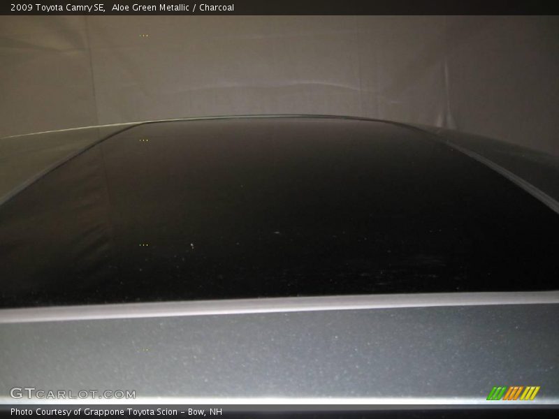 Aloe Green Metallic / Charcoal 2009 Toyota Camry SE