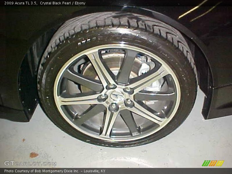 Crystal Black Pearl / Ebony 2009 Acura TL 3.5