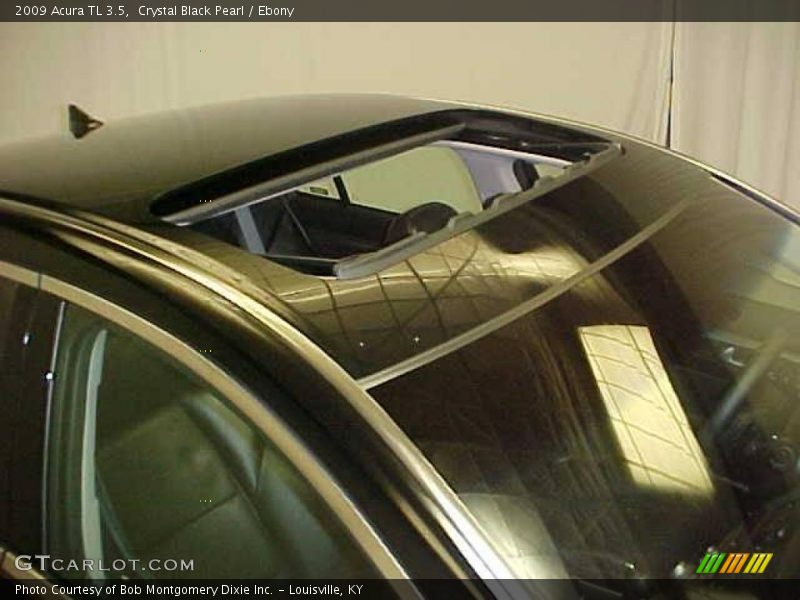Crystal Black Pearl / Ebony 2009 Acura TL 3.5