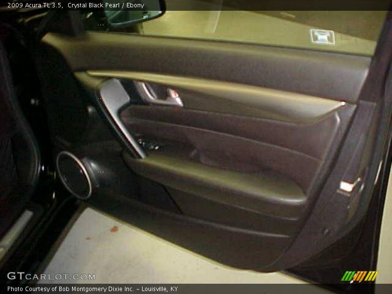Crystal Black Pearl / Ebony 2009 Acura TL 3.5