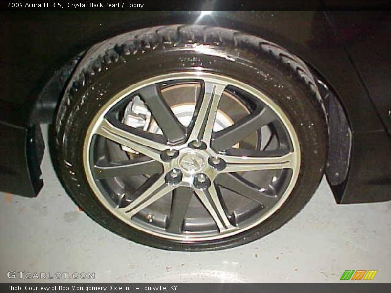 Crystal Black Pearl / Ebony 2009 Acura TL 3.5