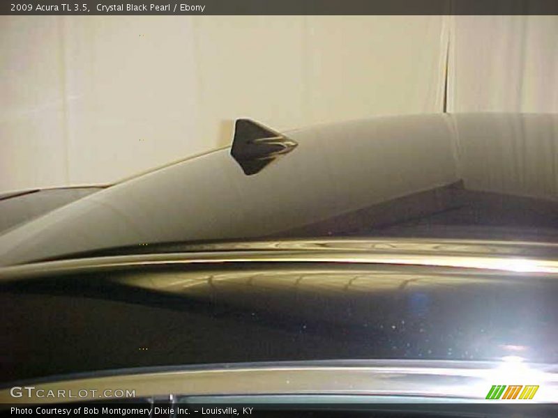 Crystal Black Pearl / Ebony 2009 Acura TL 3.5