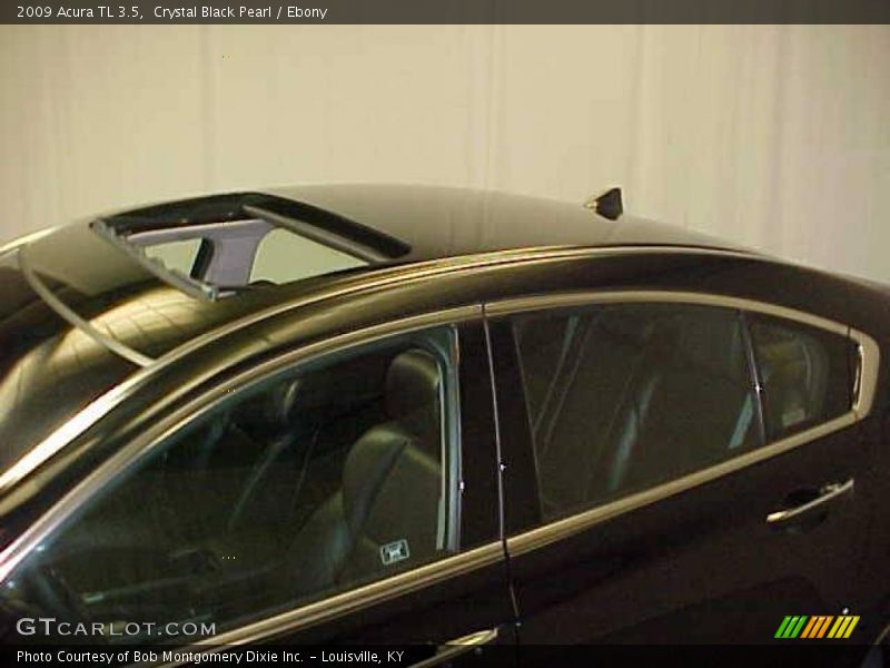 Crystal Black Pearl / Ebony 2009 Acura TL 3.5