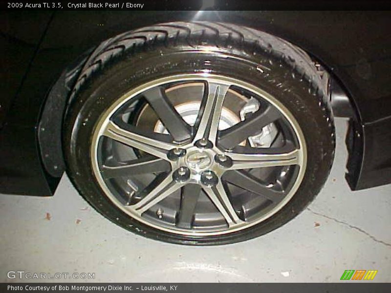 Crystal Black Pearl / Ebony 2009 Acura TL 3.5