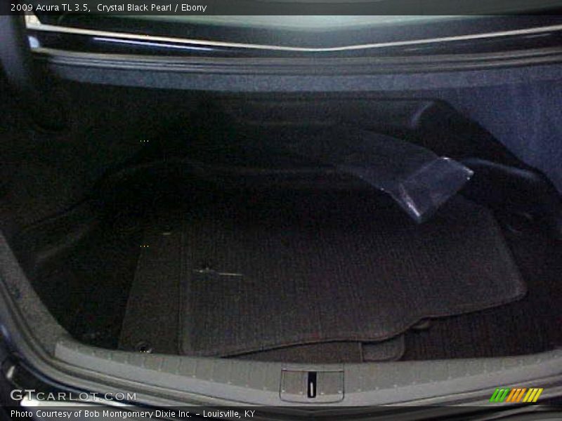 Crystal Black Pearl / Ebony 2009 Acura TL 3.5