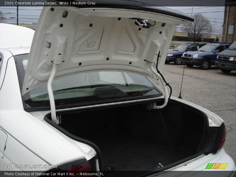 White / Medium Gray 2001 Chevrolet Lumina Sedan