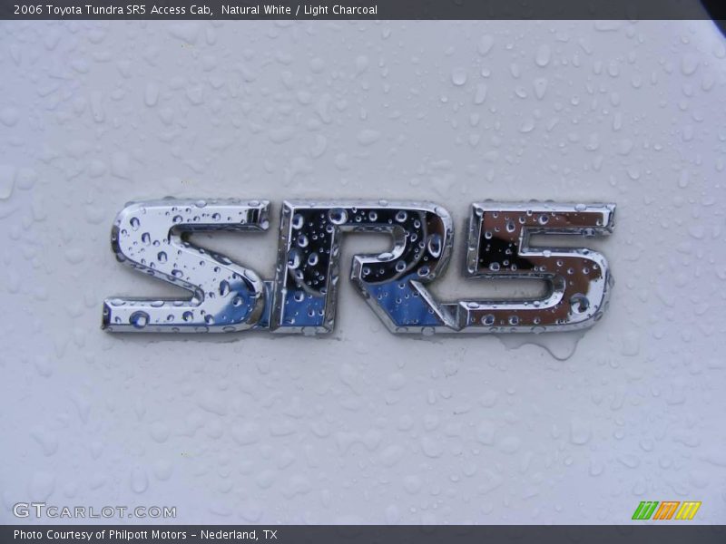 Natural White / Light Charcoal 2006 Toyota Tundra SR5 Access Cab