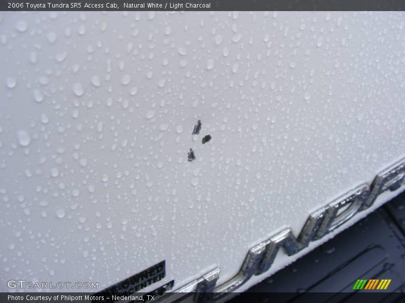 Natural White / Light Charcoal 2006 Toyota Tundra SR5 Access Cab
