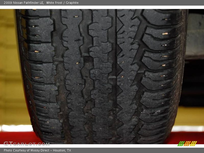 White Frost / Graphite 2009 Nissan Pathfinder LE
