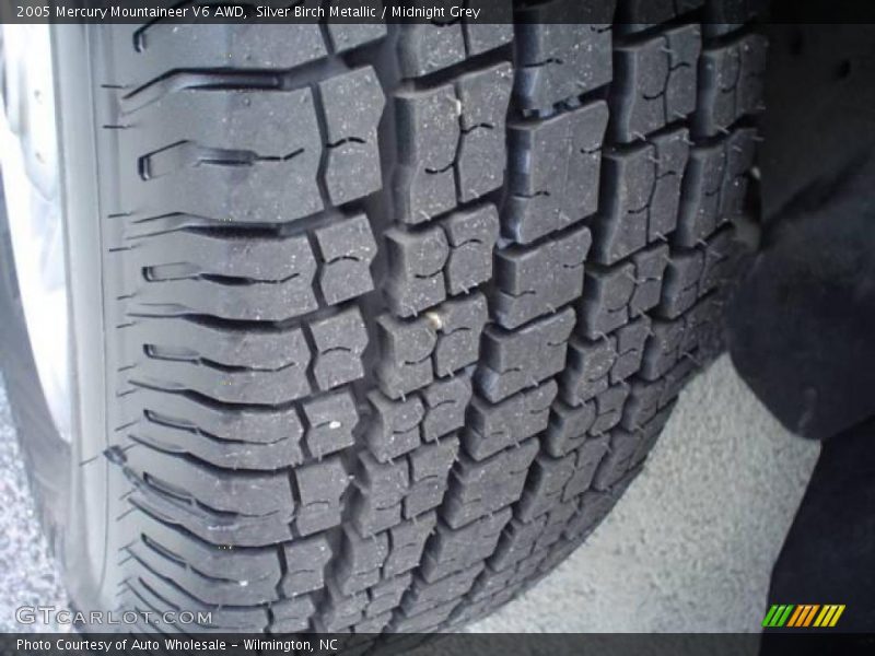 Silver Birch Metallic / Midnight Grey 2005 Mercury Mountaineer V6 AWD