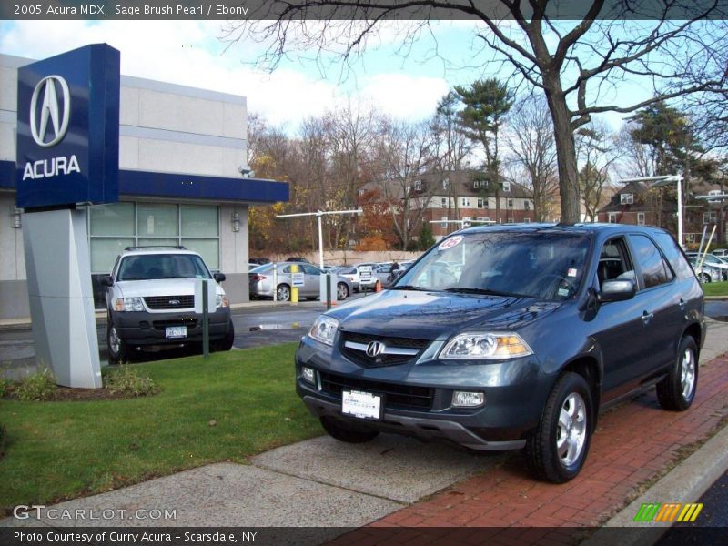 Sage Brush Pearl / Ebony 2005 Acura MDX