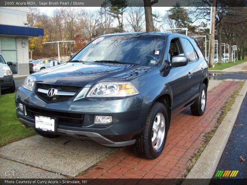 Sage Brush Pearl / Ebony 2005 Acura MDX