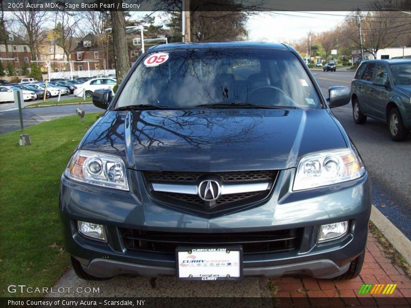 Sage Brush Pearl / Ebony 2005 Acura MDX