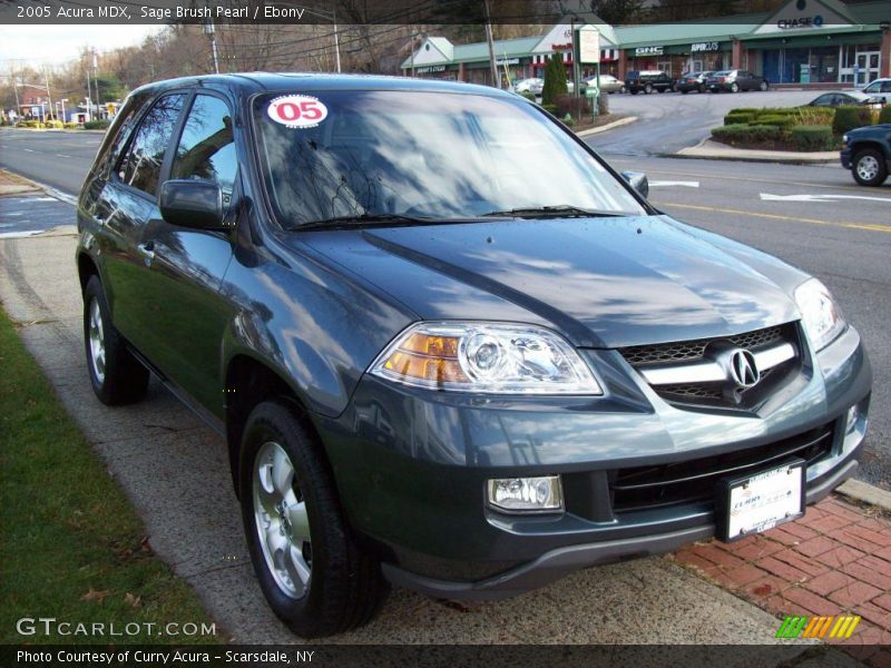 Sage Brush Pearl / Ebony 2005 Acura MDX