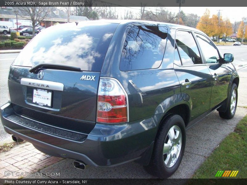 Sage Brush Pearl / Ebony 2005 Acura MDX