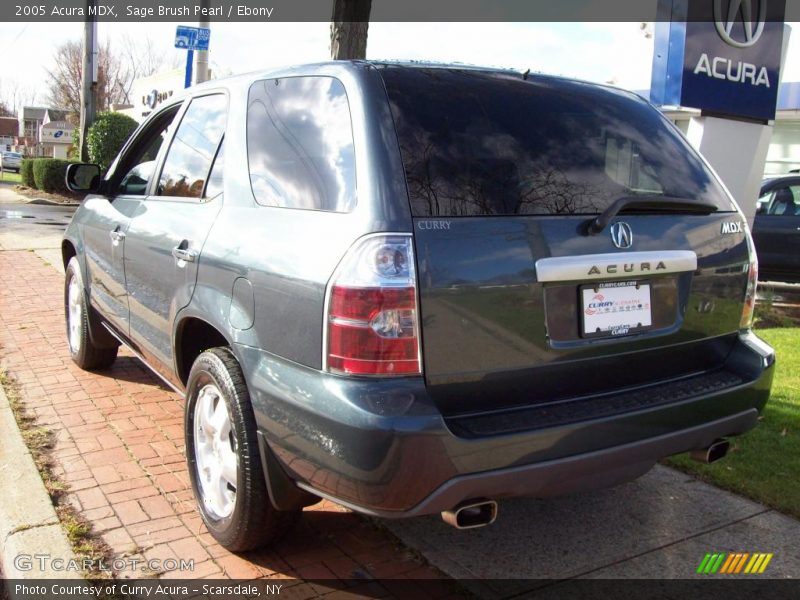 Sage Brush Pearl / Ebony 2005 Acura MDX
