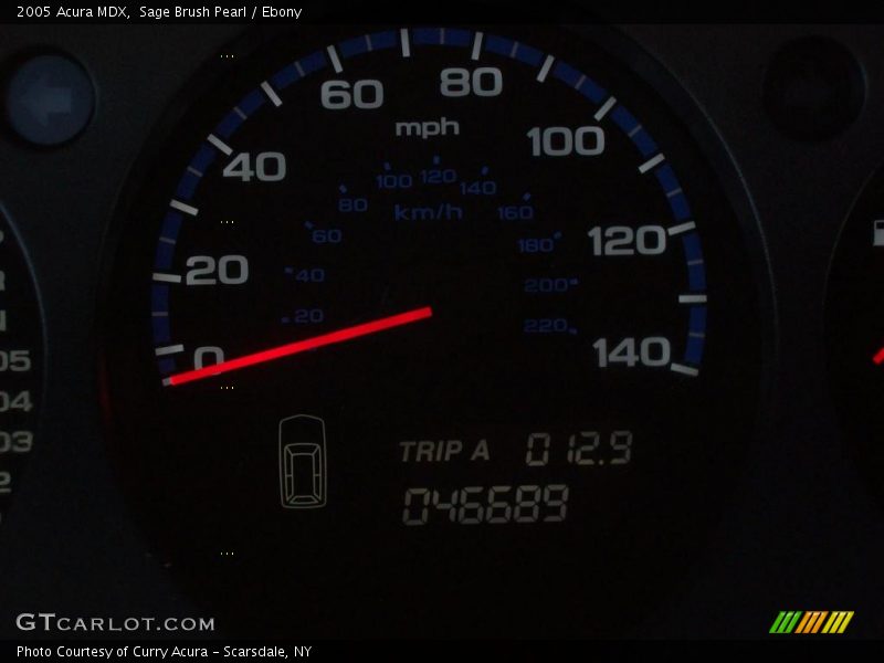 Sage Brush Pearl / Ebony 2005 Acura MDX