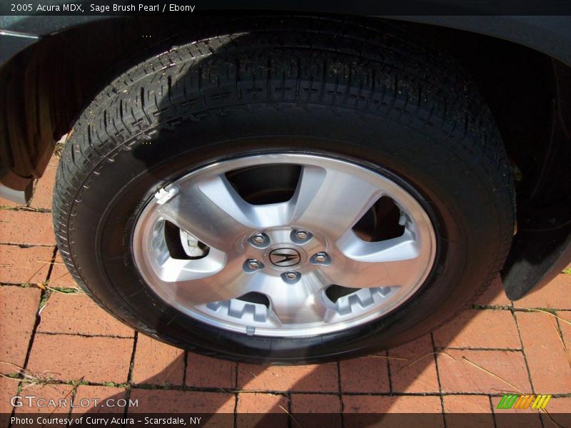 Sage Brush Pearl / Ebony 2005 Acura MDX