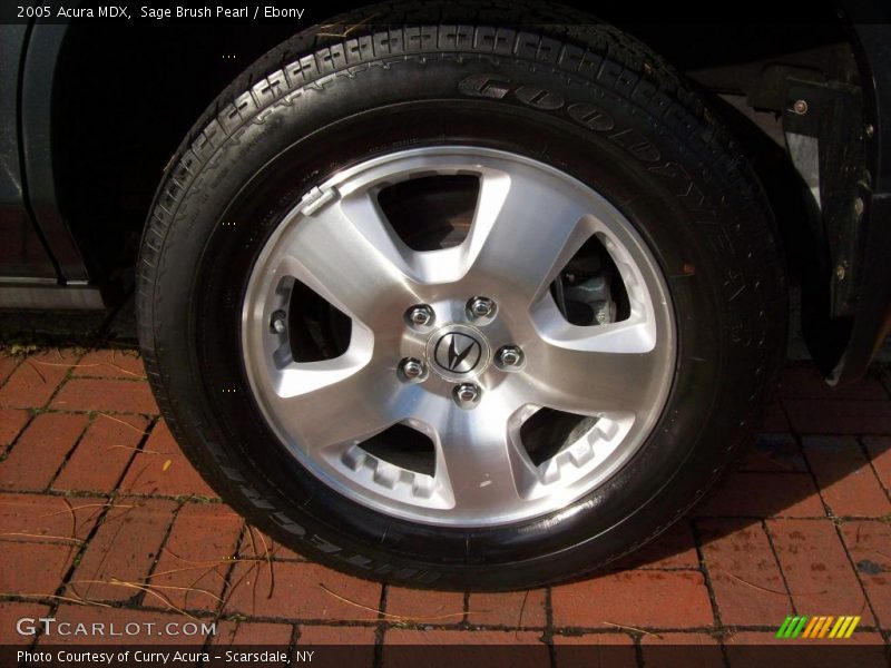 Sage Brush Pearl / Ebony 2005 Acura MDX