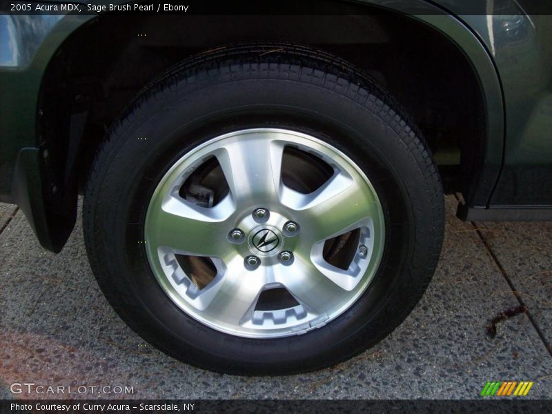 Sage Brush Pearl / Ebony 2005 Acura MDX