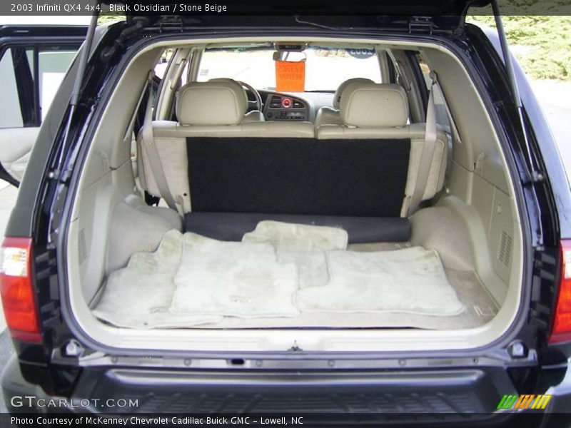 Black Obsidian / Stone Beige 2003 Infiniti QX4 4x4